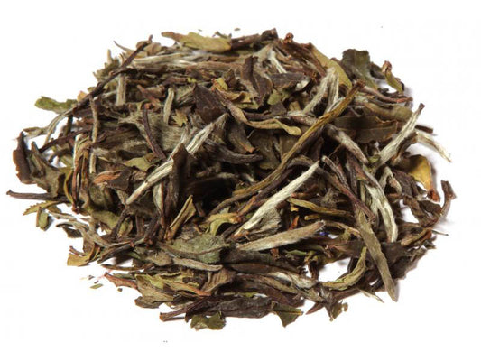Tè bianco Pai Mu Tan biologico