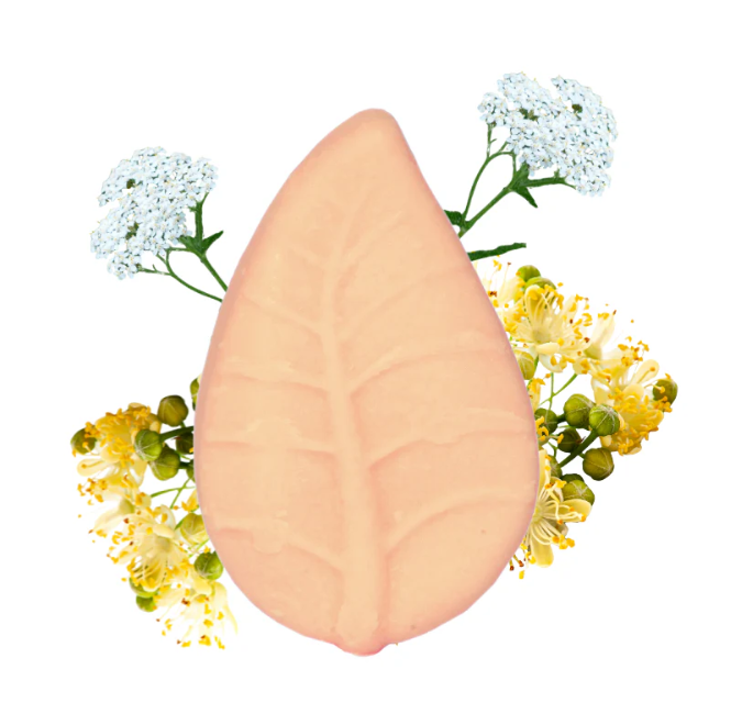 Shampoing Solide Citron Vert et Millefeuille