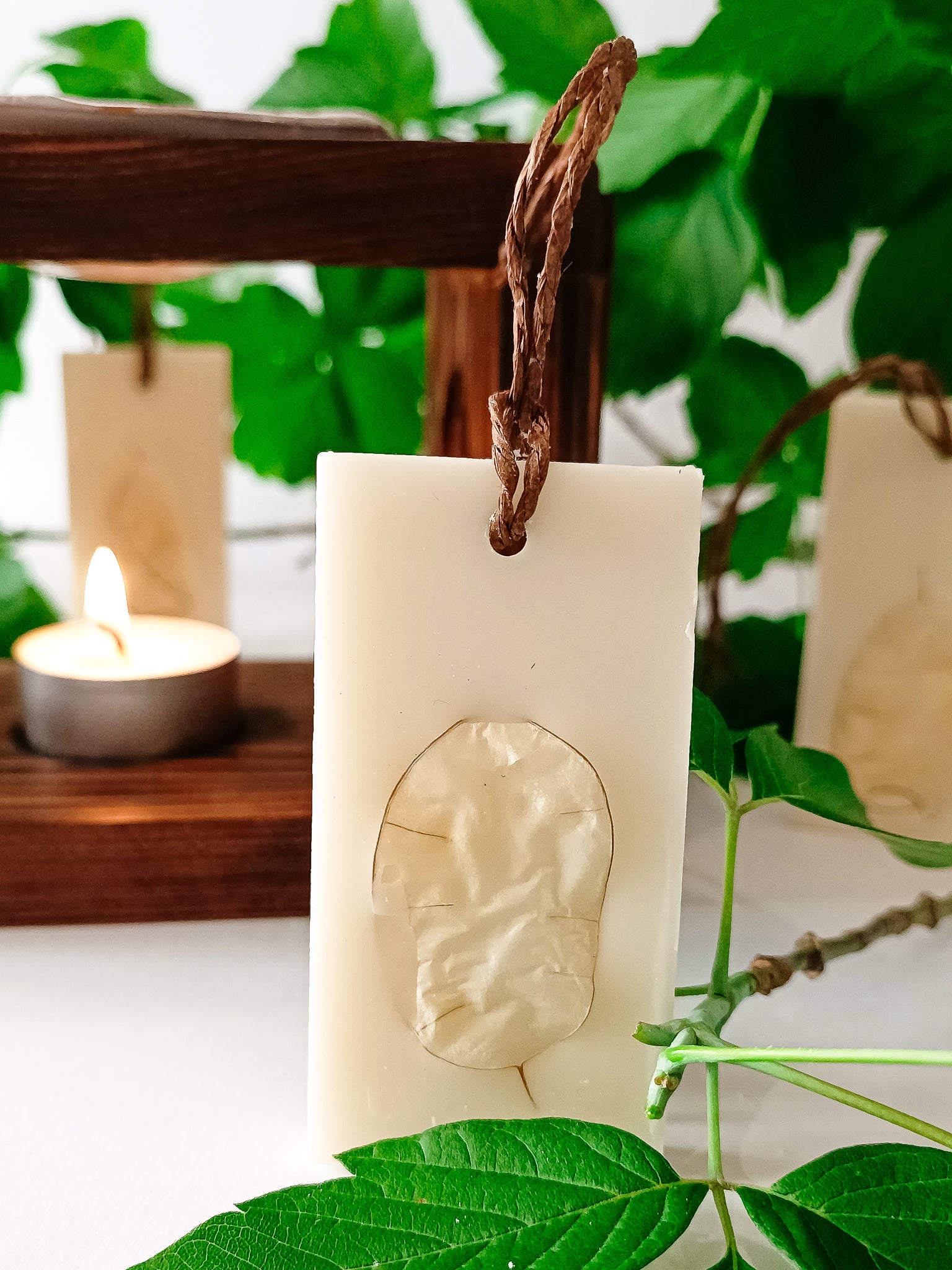 COTON - Tarte Artisanale Parfumée à la Cire de Soja
