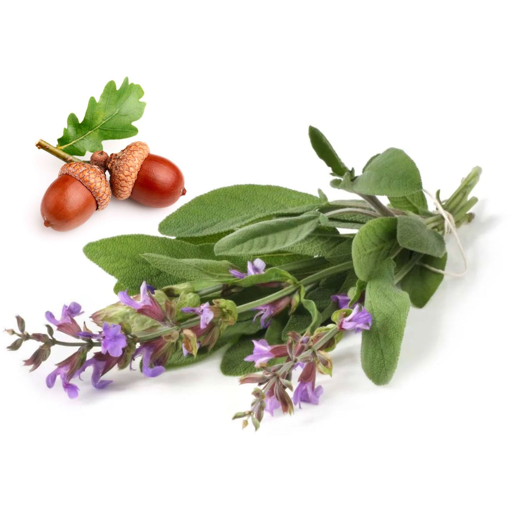 Siero Purificante Anti-Imperfezioni – Salvia & Quercia Fermentati Bio 30ml
