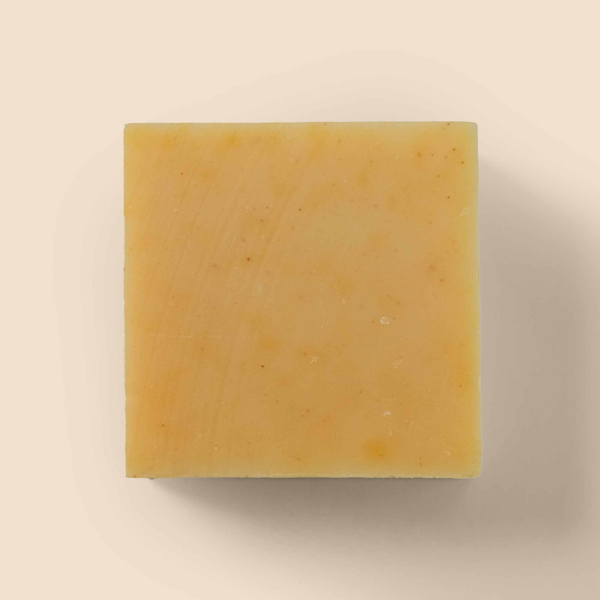 Sapone Biologico Zenzero e Limone